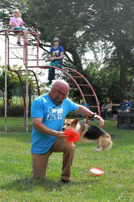 Ohio Corgi Picnic 2023