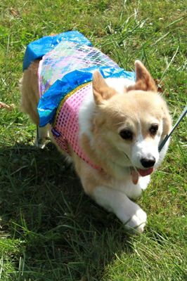 diva