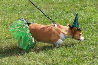 witchy