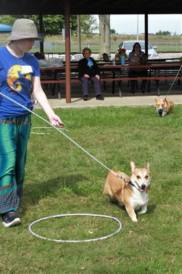 Musical hoops