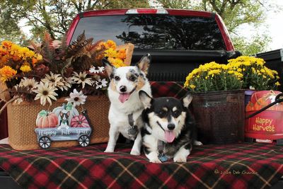 Lucy and Simi Feuston(4).jpg