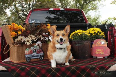 Onstar Kerr (7).jpg