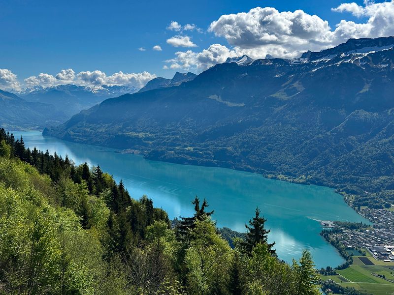 Harder Kulm 6
