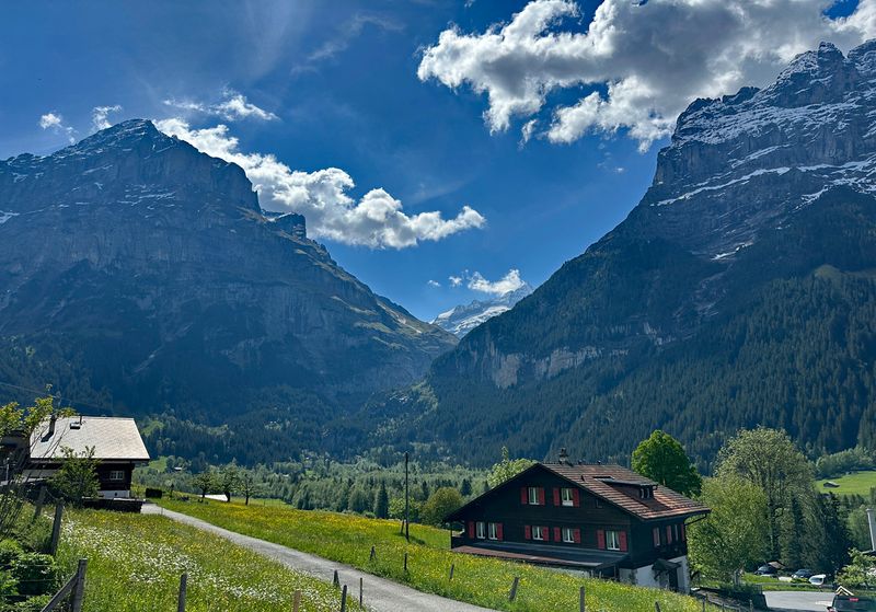 Grindelwald 3