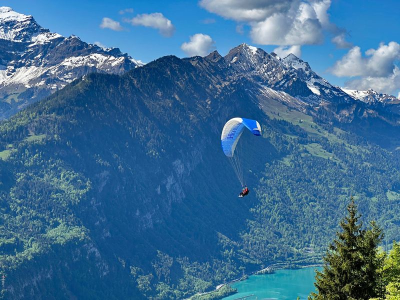 Harder Kulm 3