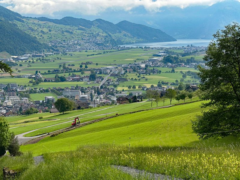 Coming  back down Pilatus Kulm on the cogwheel train