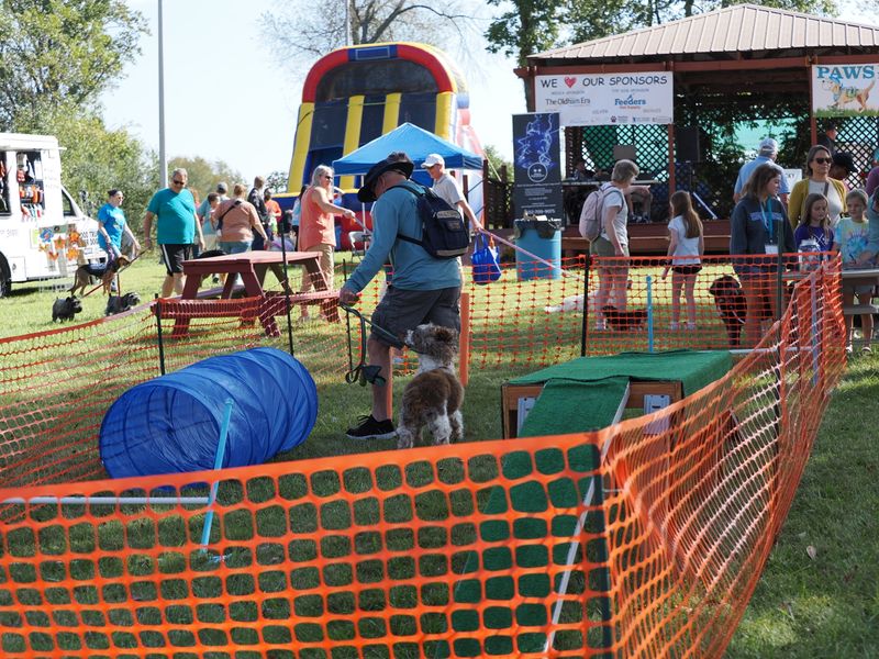 PA050955.JPG