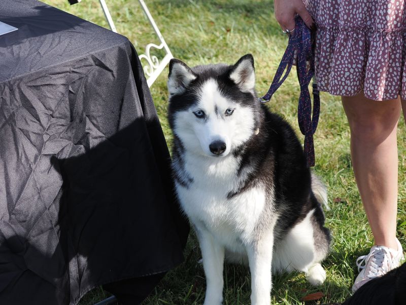 PA050966.JPG
