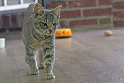 DSC_2409.jpg