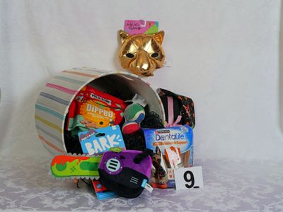 sa09.jpg