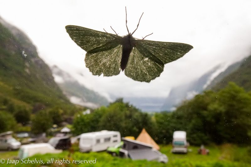 Norway 2023