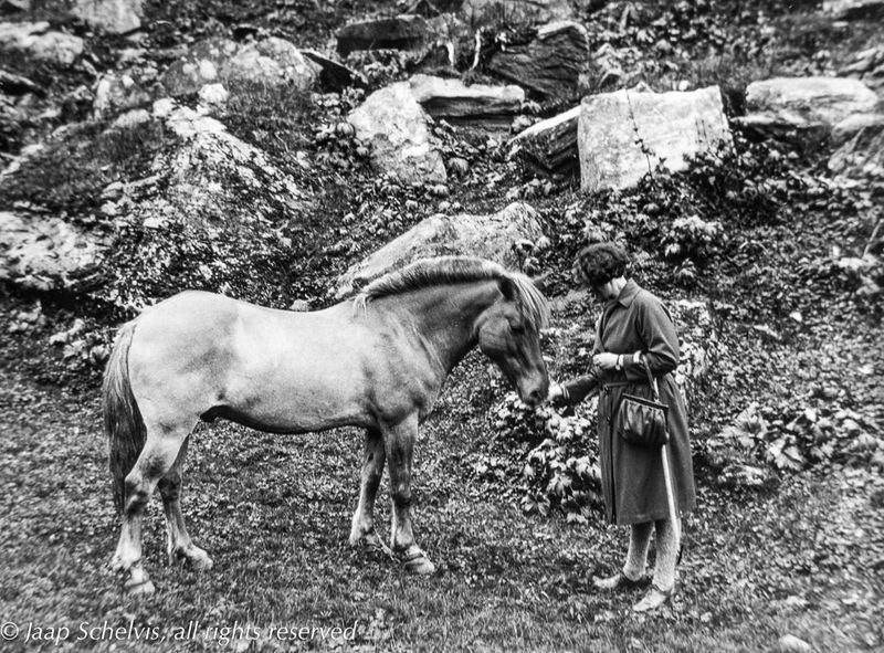 Summer 1930 Norway, Do with horse