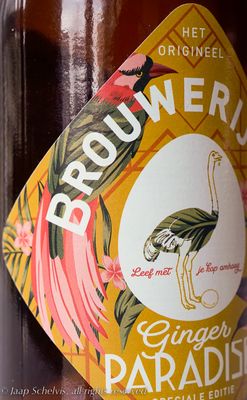Paradijsvogel - Bird of paradise - Paradisea sp. - Ginger flavoured Dutch beer