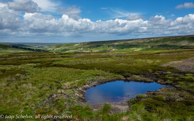 North York Moors