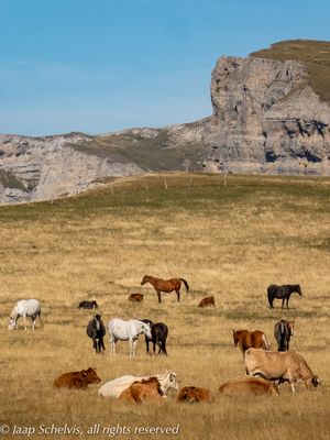 Massif du Vercors