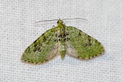 08601 V-dwergspanner