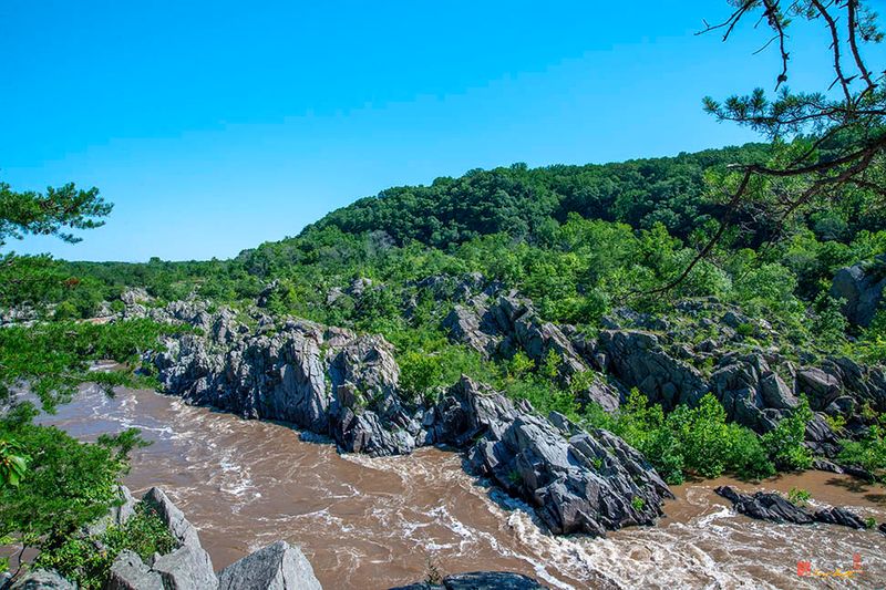 Great Falls of the Potomac River, Mather Gorge, in Flood (DS0124)