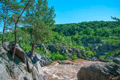 Great Falls of the Potomac River, Mather Gorge, in Flood (DS0125)