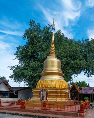 Wat Thepnimit Chedi (DTHP0424)