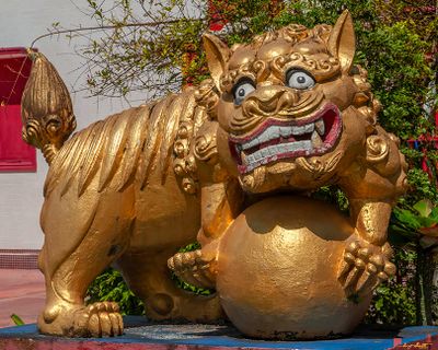 San Jao Samshan Thian Heukung or Hockchew Club Fu Lion (DTHP0494)