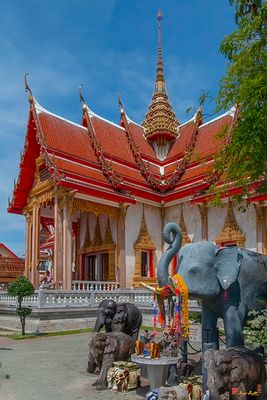 Wat Chalong Phra Wihan and Elephant Tribute (DTHP0045)