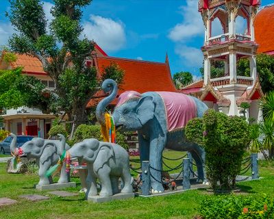 Wat Chalong Elephant Tribute (DTHP0046)