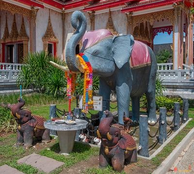 Wat Chalong Elephant Tribute (DTHP0404)