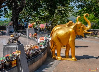 Vishnu Shrine Elephants at Phra Prom Area on Promthep Cape (DTHP0248)