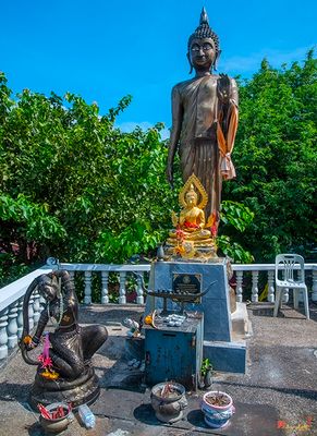 Wat Laem Promthep Phra Buddha Guardian of Thailand (DTHP0366)