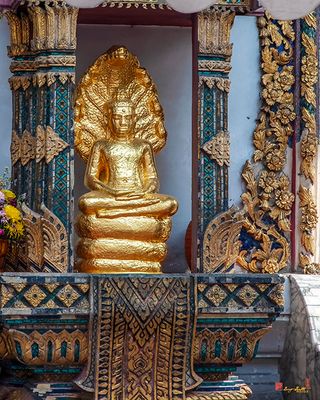 Wat Kan Matuyaram Phra Ubosot Buddha Image at Rear Entrance (DTHB0739)