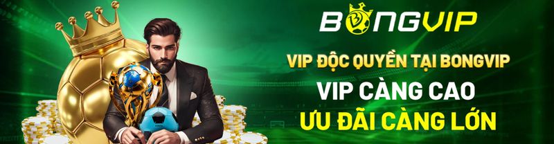 banbongvip.jpg