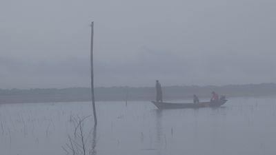 Fog on the Amazon