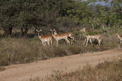 _MG_6741.jpg