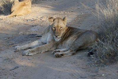 _MG_7639.jpg