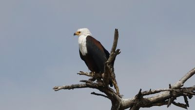 _MG_5843.jpg