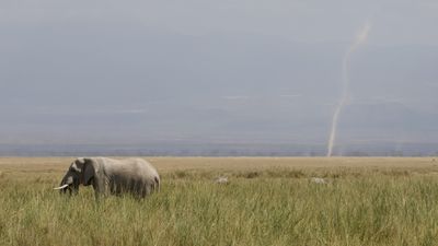 _MG_6579.jpg