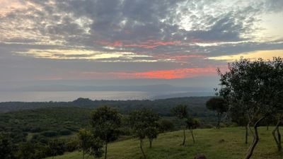 IMG_6374.JPEG
