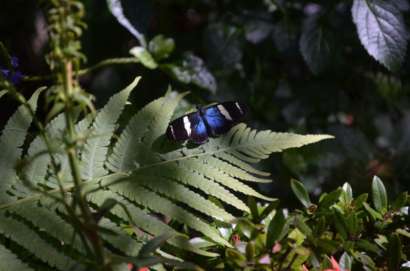 DSC_0076.JPG