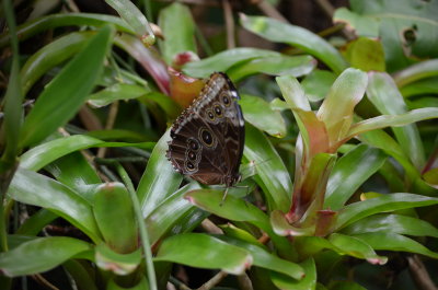 DSC_0079.JPG