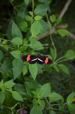 DSC_0095.jpg