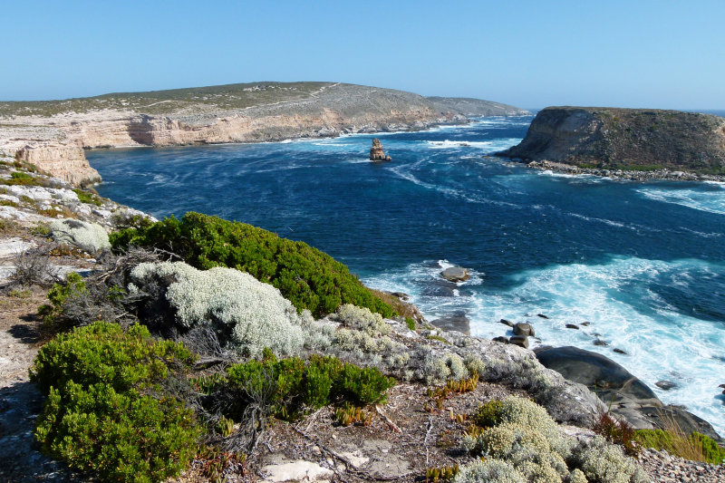 Lincoln NP