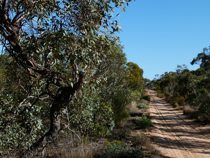 mallee tracks