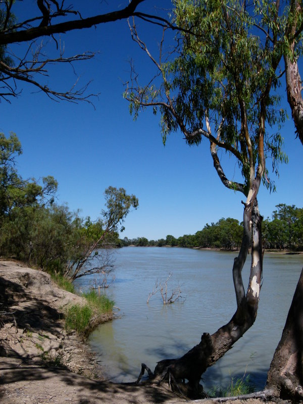 River Murray