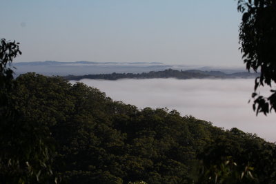 Fog in the Adelaide Hills