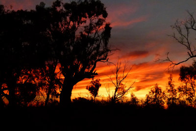 Sunset on the Murray