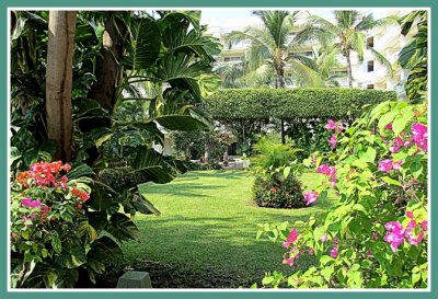 jardin du Barcelo Karmina Palace Deluxe