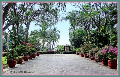 allée principale du jardin