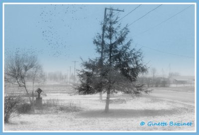 Ils se demandent o se diriger avec  cette neige du 5 avril.