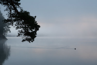 2012-10 Morgennebel.jpg