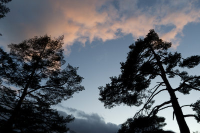 2011-09 Abendrot.jpg
